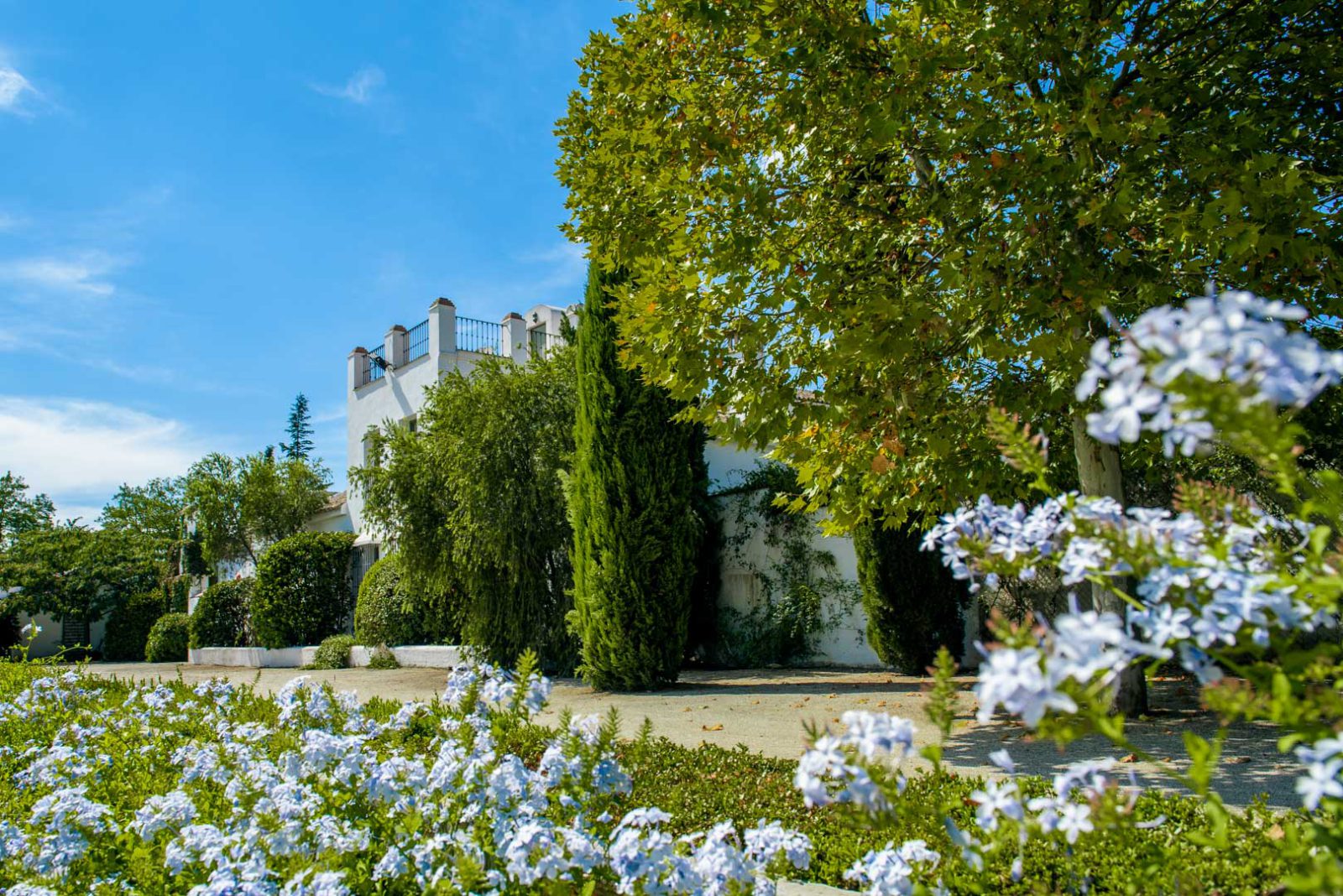 Country Connection · Marbella Marriages